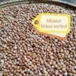 CK - BAAZI TZ 1KG - 104063