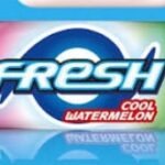 FRESH CHEWING GUM MENTHOL FLAVOUR - 6161112466161