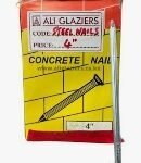 STEEL NAIL 4INCH - 173000016